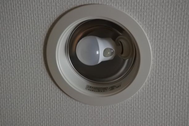 ダウンライト