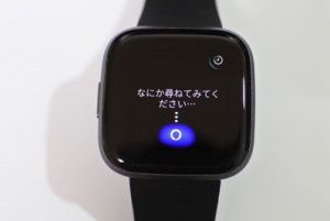 fitbit alexa skill