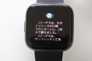 fitbit alexa skill