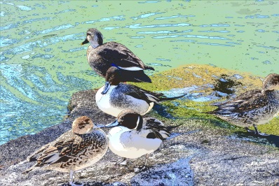 写真から簡単にイラストを作成する 鳥の写真を まるでイラスト で変換してみた 少しのit快適生活 写真から簡単にイラストを作成する 鳥の写真を まるでイラスト で変換してみた 少しのit快適生活