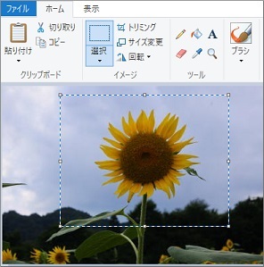 Windows10ペイントの選択で範囲指定