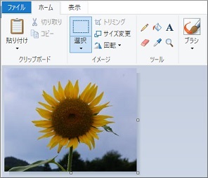 Windows10ペイントの選択で範囲指定して抽出