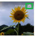 FilesアプリでSDカードの写真表示