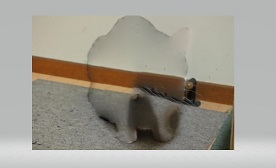 ペイント3Dの切り抜き
