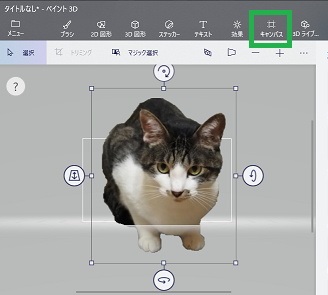 ペイント3Dのキャンパスサイズが小さい