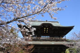 「さよなら逆光」で補正前の写真(古いお寺)