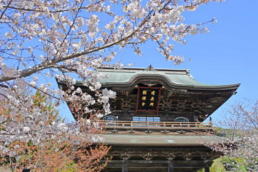 「さよなら逆光」で補正後の写真(古いお寺)
