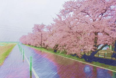 桜のイラスト3