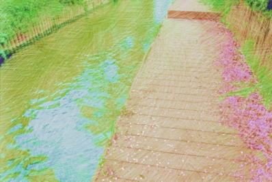 桜のその他のイラスト1