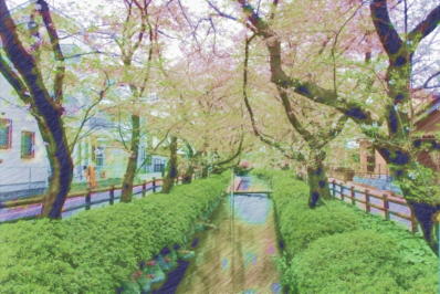 桜のその他のイラスト2