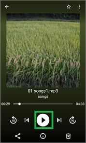 「Files by Google 」の再生画面