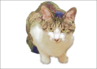 ペイントで合成する透過画像