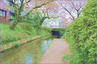 ペイントで合成する背景画像