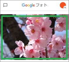 Googleフォトアプリで写真を選択