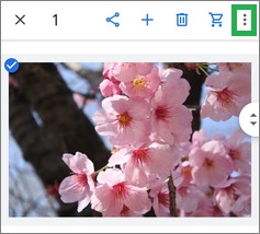 Googleフォトアプリの「その他」アイコン