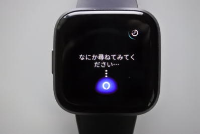 FitbitのAlexa画面