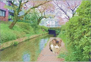 ペイントの「透明の選択」で合成した画像