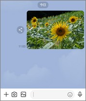 LINEで受信した写真