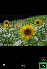 LINEの写真の「ダウンロード」アイコン