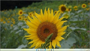 ペイントの「デスクトップの背景として設定」の「塗りつぶし」